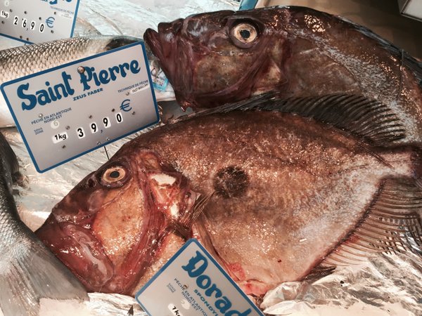 I went to the fishmonger’s last Friday, he did have John Dory fish #MadeleineprojectEN https://t.co/jW8SquAfrk